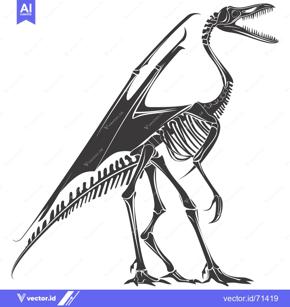 Premium Vector dari Skeletal Illustration of a Pterodactyl with Wings Spread