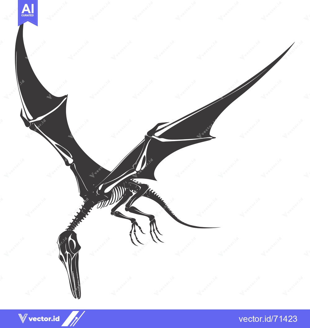 Premium Vector of Pterodactyl Skeleton with Spread Wings in Flight