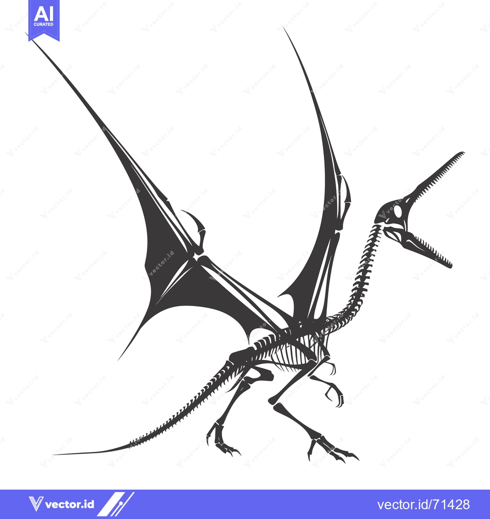 Premium Vector dari Skeleton of a Flying Dinosaur with Wings Outstretched