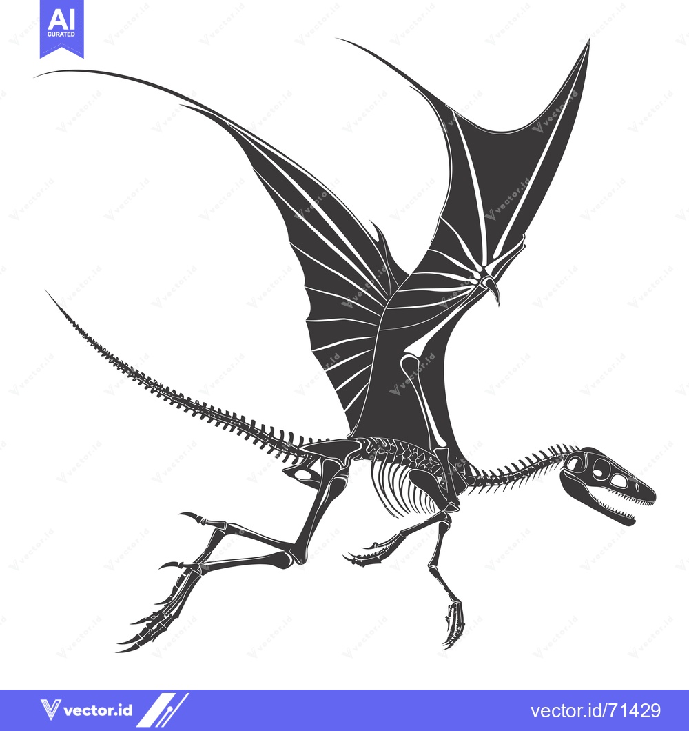 Premium Vector of Skeletal Remains of a Flying Dinosaur with Spread Wings