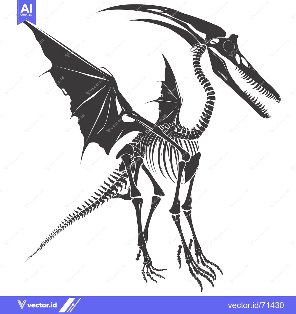 Premium Vector of Skeletal Reconstruction of a Pterodactyl Dinosaur with Spread Wings