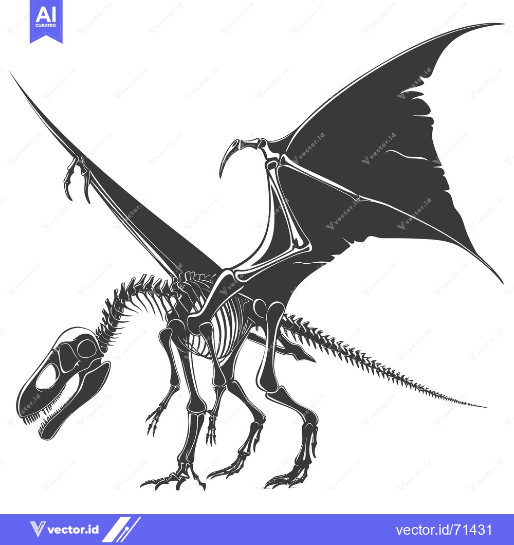 Premium Vector dari Skeletal remains of a winged dinosaur with a long tail
