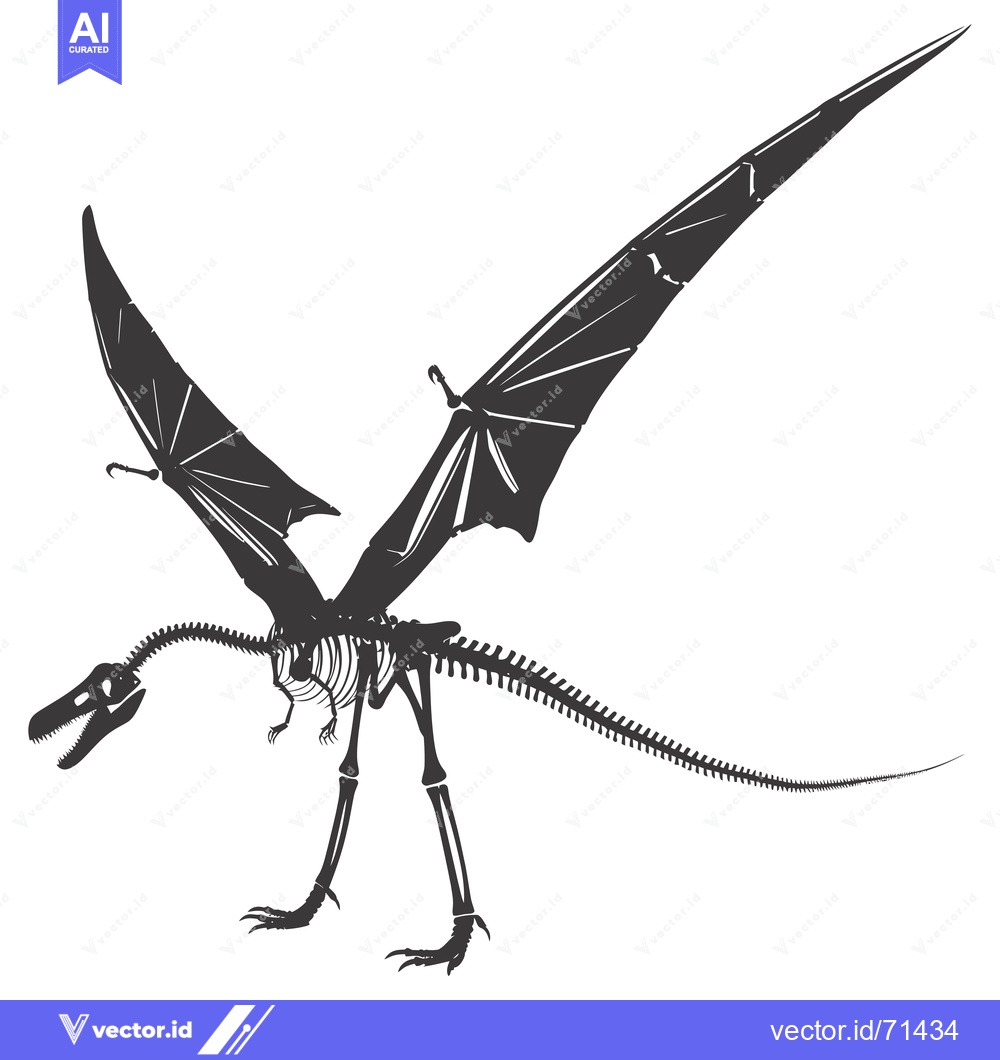 Premium Vector dari A Skeletal Illustration of a Pterodactyl with Spread Wings