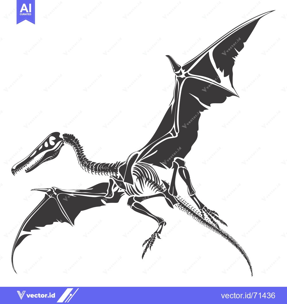 Premium Vector of Skeletal Representation of a Pterodactyl in Flight