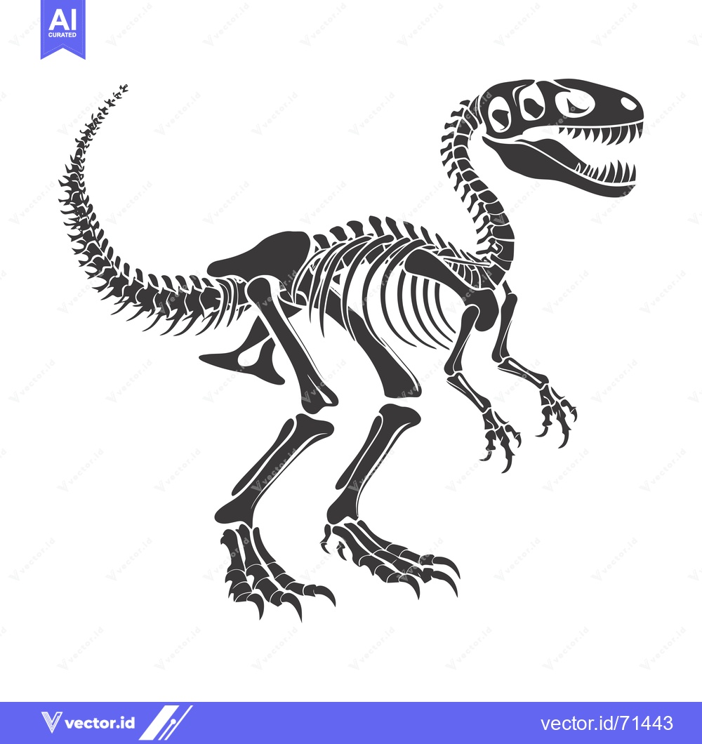 Premium Vector of A Detailed Skeletal Structure of a Dinosaur
