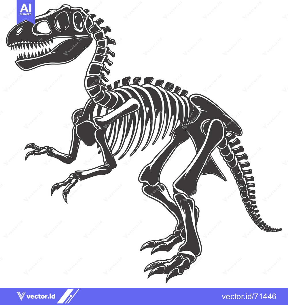 Premium Vector of Detailed Skeletal Structure of a Standing Dinosaur