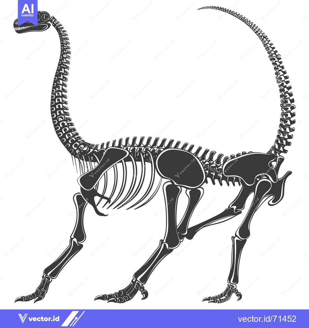 Premium Vector of Black and White Skeletal Illustration of a Dinosaur