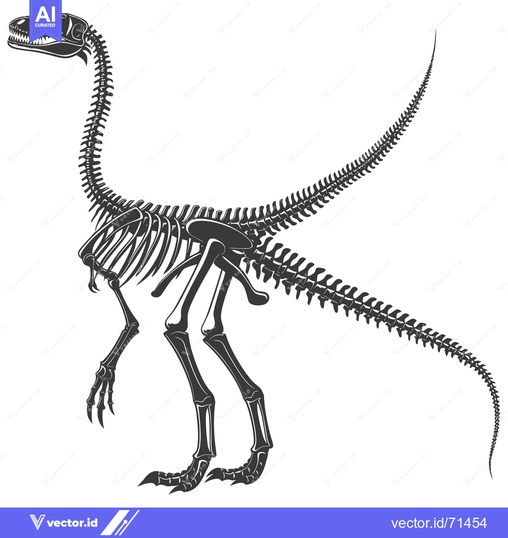 Premium Vector of Detailed Skeletal Structure of a Theropod Dinosaur