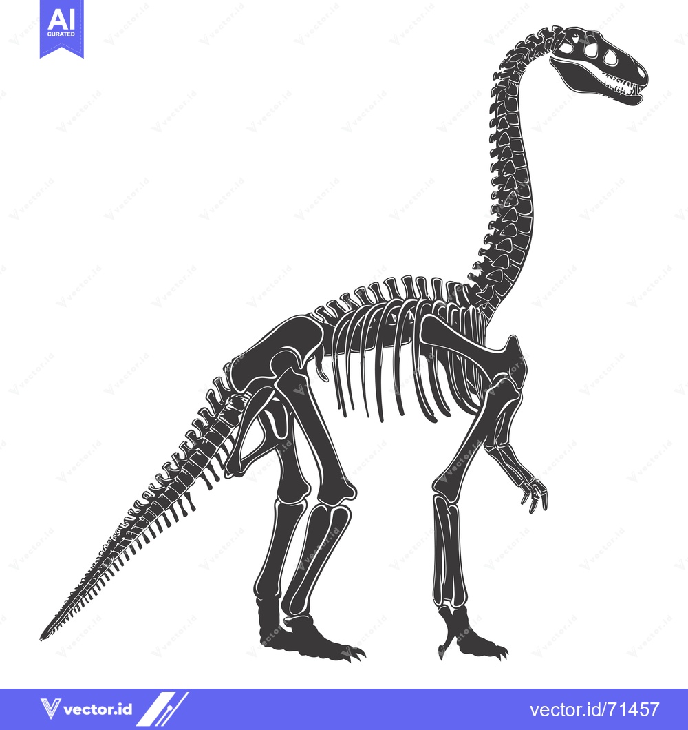 Premium Vector of Silhouette of a dinosaur skeleton with a long neck and tail