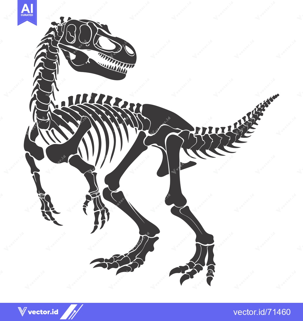 Premium Vector of A Detailed Black and White Illustration of a Dinosaur Skeleton