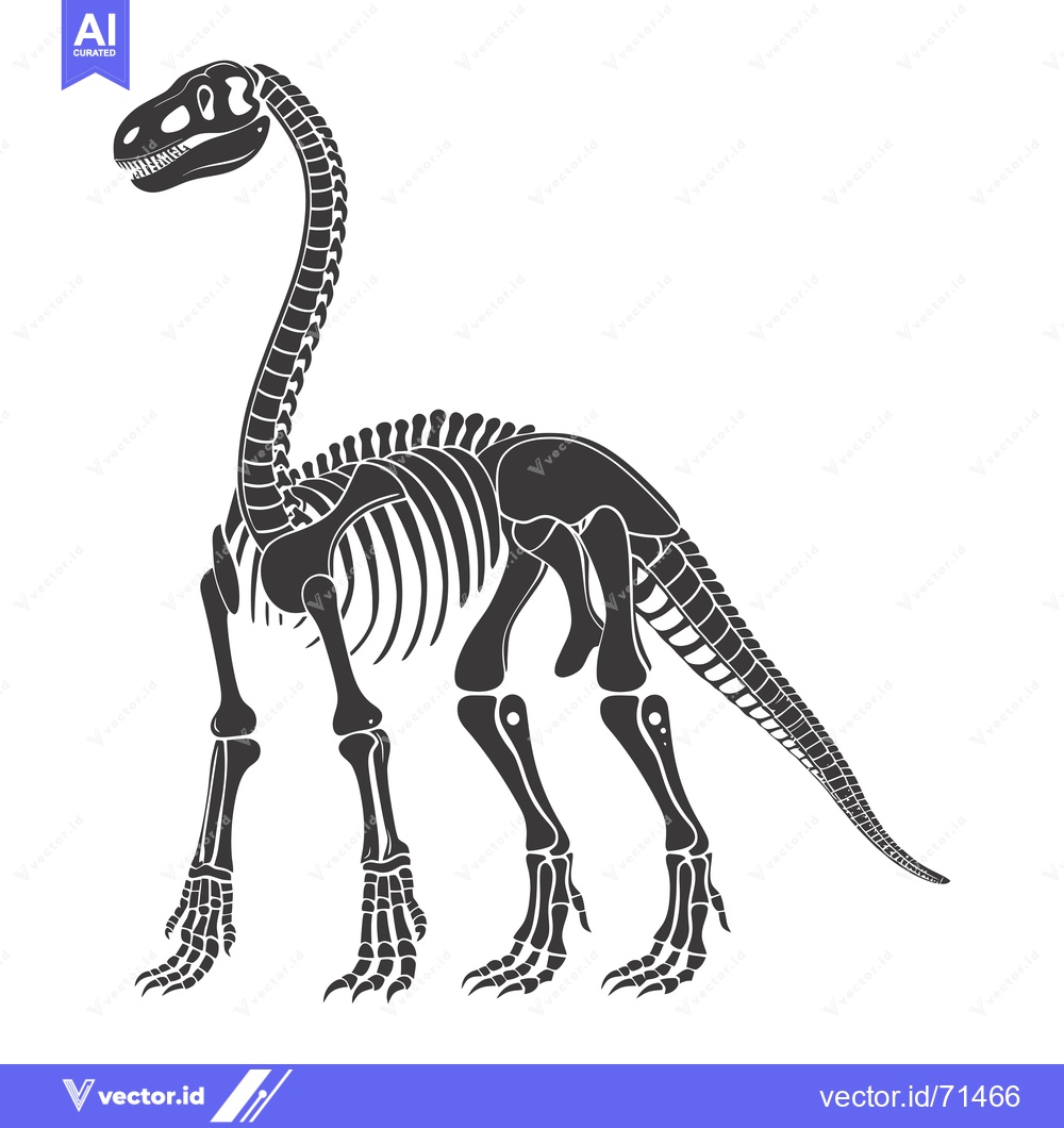 Premium Vector of Skeletal Remains of a Dinosaur with a Long Neck and Tail