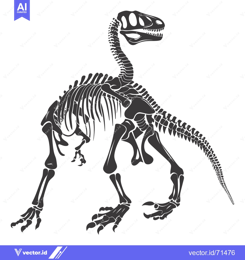 Premium Vector dari Black and White Illustration of a Dinosaur Skeleton