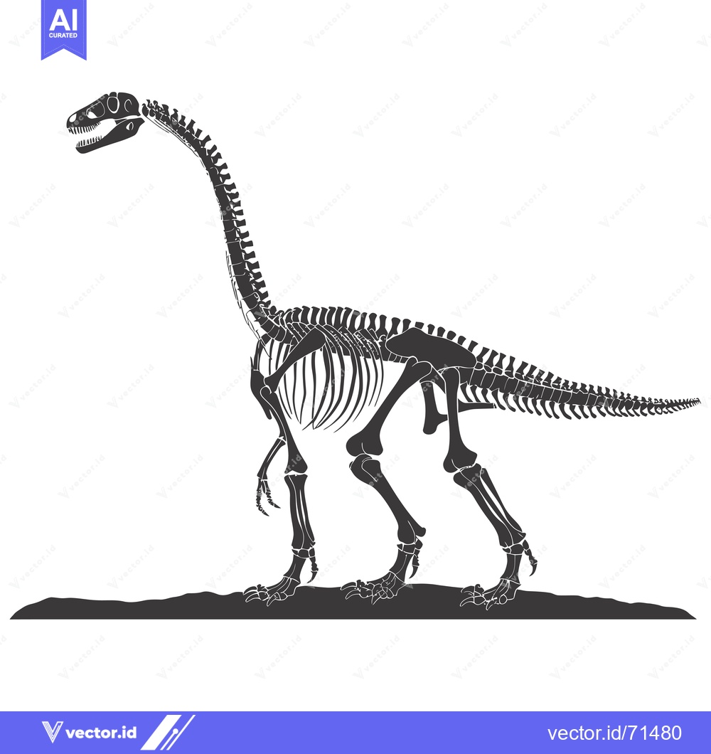 Premium Vector dari Skeletal Remains of a Long-Necked Dinosaur