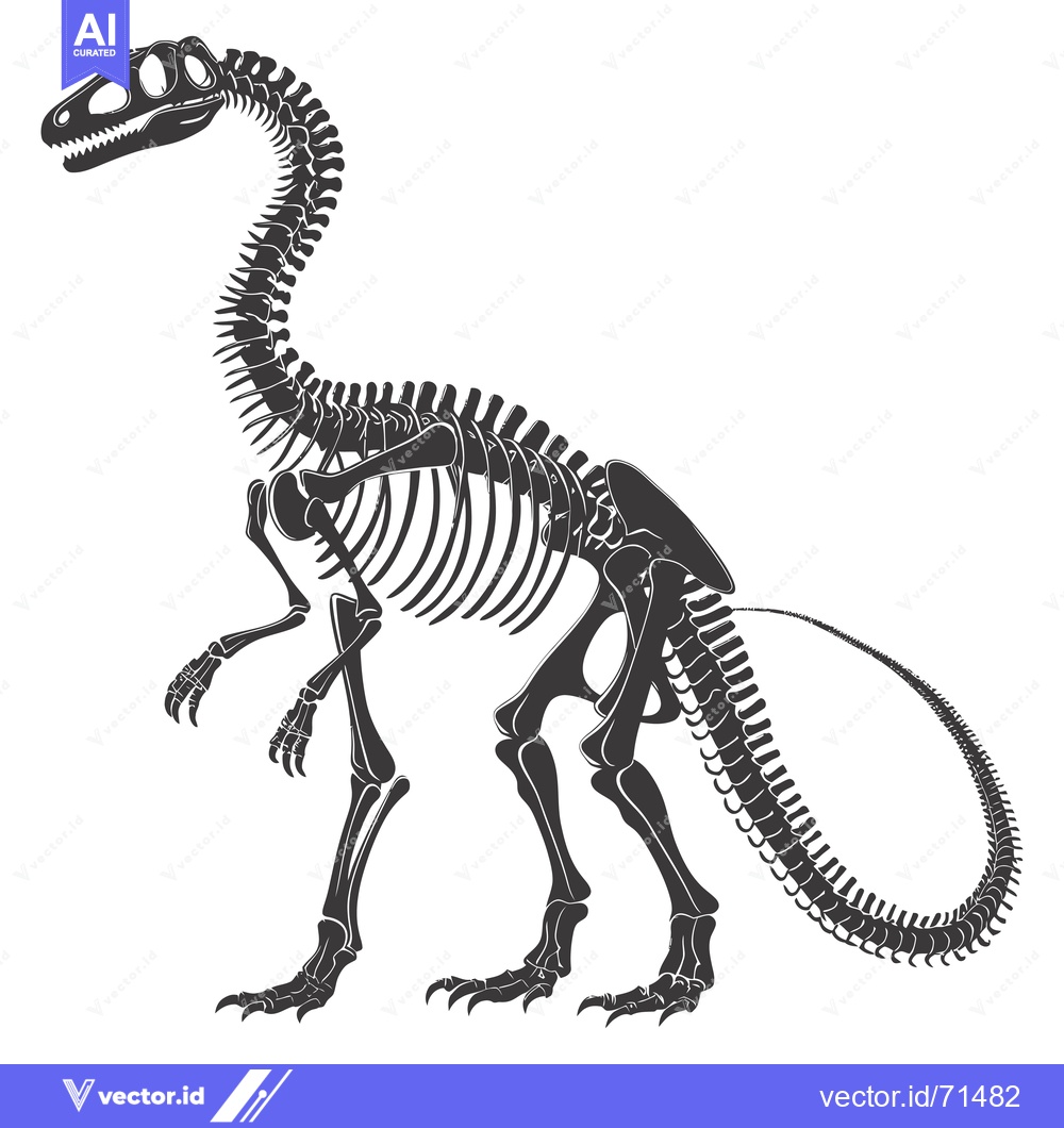 Premium Vector dari Detailed Skeletal Structure of a Theropod Dinosaur