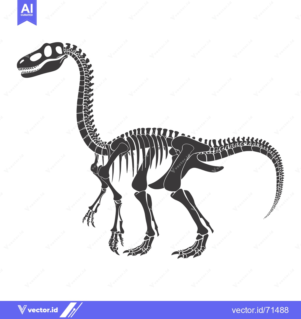 Premium Vector of A Detailed Skeletal Illustration of a Dinosaur