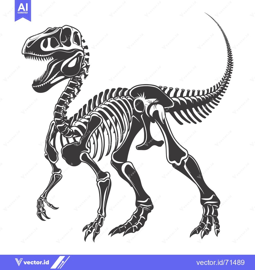 Premium Vector of Black and White Illustration of a Dinosaur Skeleton