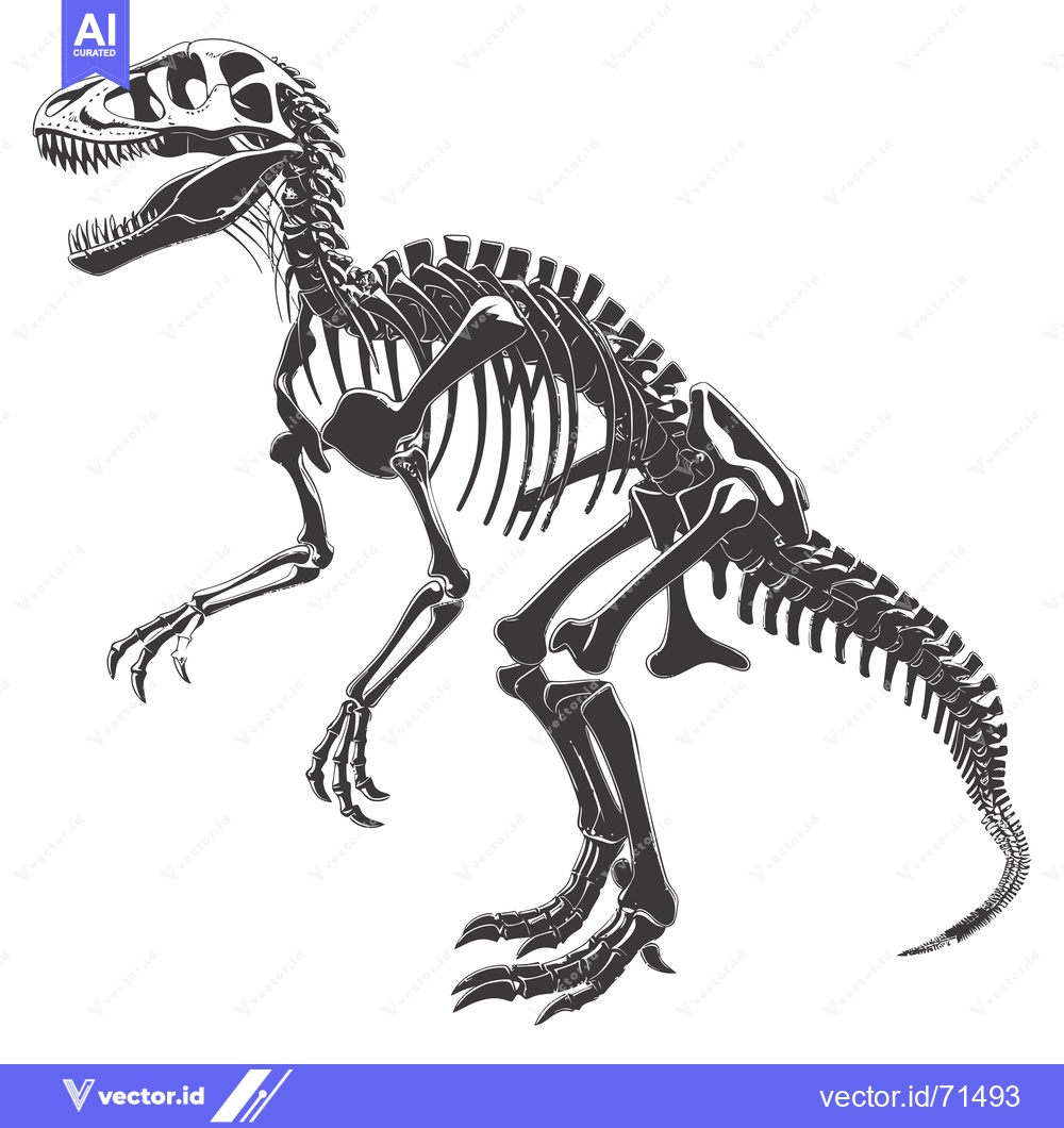 Premium Vector of A Detailed Illustration of a Dinosaur Skeleton in Black and White