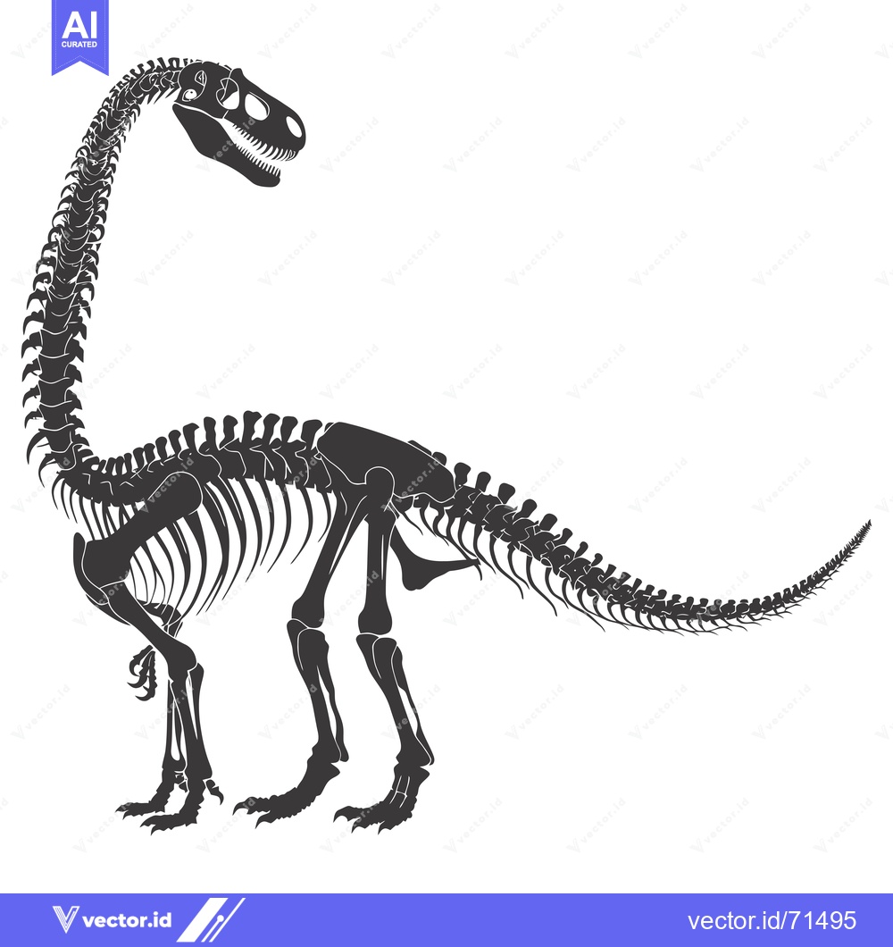 Premium Vector of Skeletal Structure of a Long-Necked Dinosaur