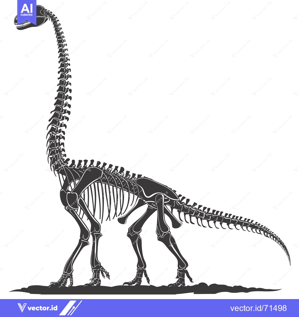 Premium Vector of Black and white illustration of a dinosaur skeleton