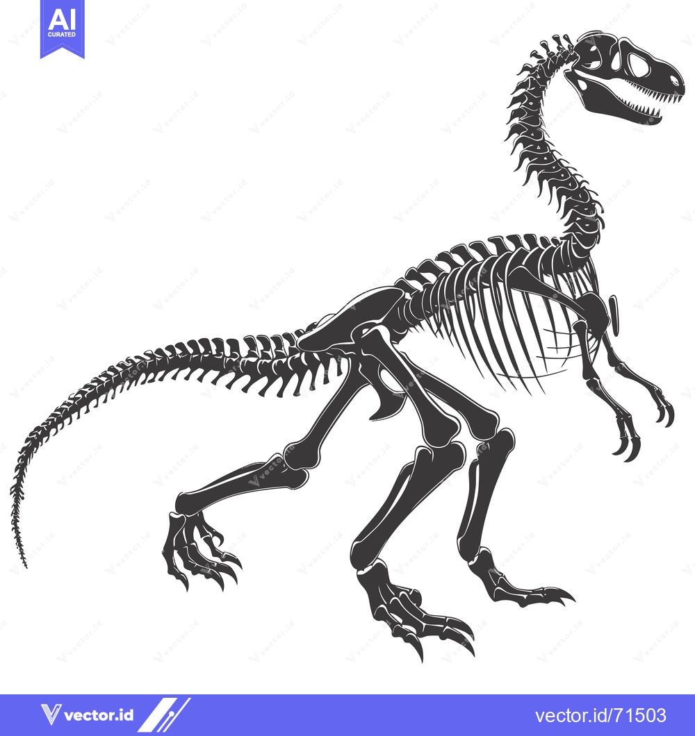 Premium Vector of A Detailed Skeleton of a Standing Theropod Dinosaur