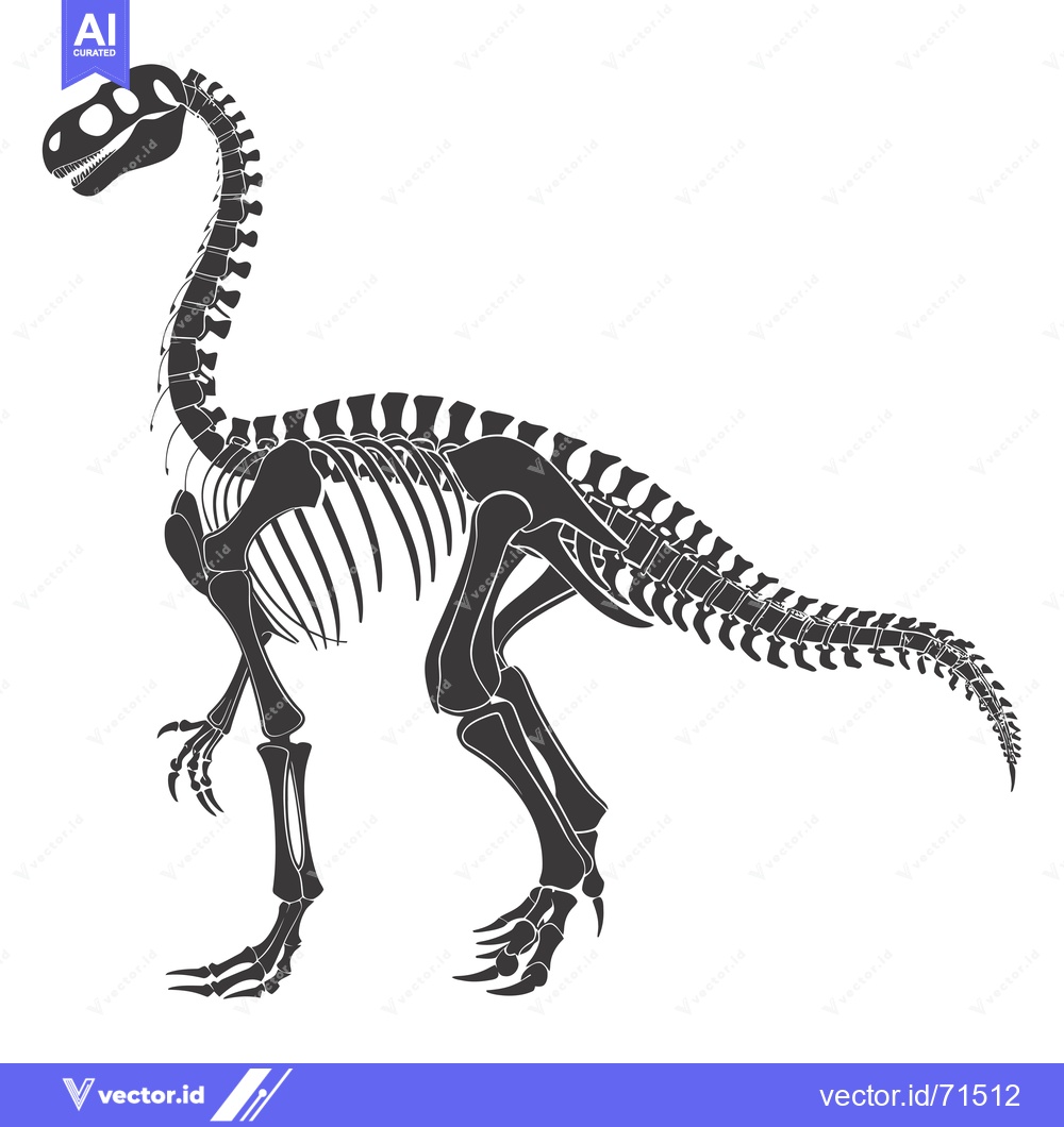 Premium Vector of Detailed Silhouette of a Dinosaur Skeleton