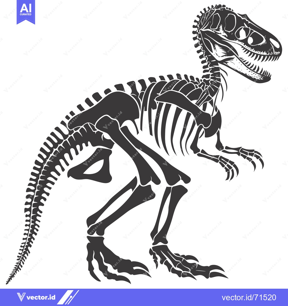 Premium Vector of A Detailed Anatomical Sketch of a Tyrannosaurus Rex Skeleton