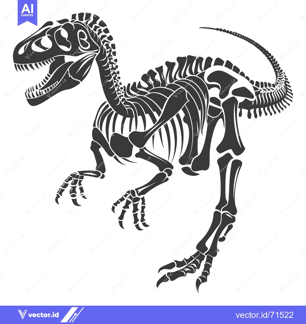 Premium Vector of A Detailed Skeletal Illustration of a Dinosaur in a Standing Pose