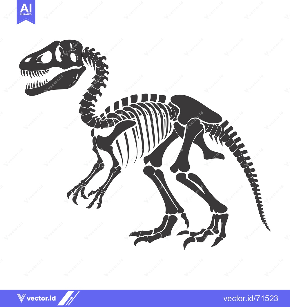 Premium Vector of Black and white illustration of a dinosaur skeleton