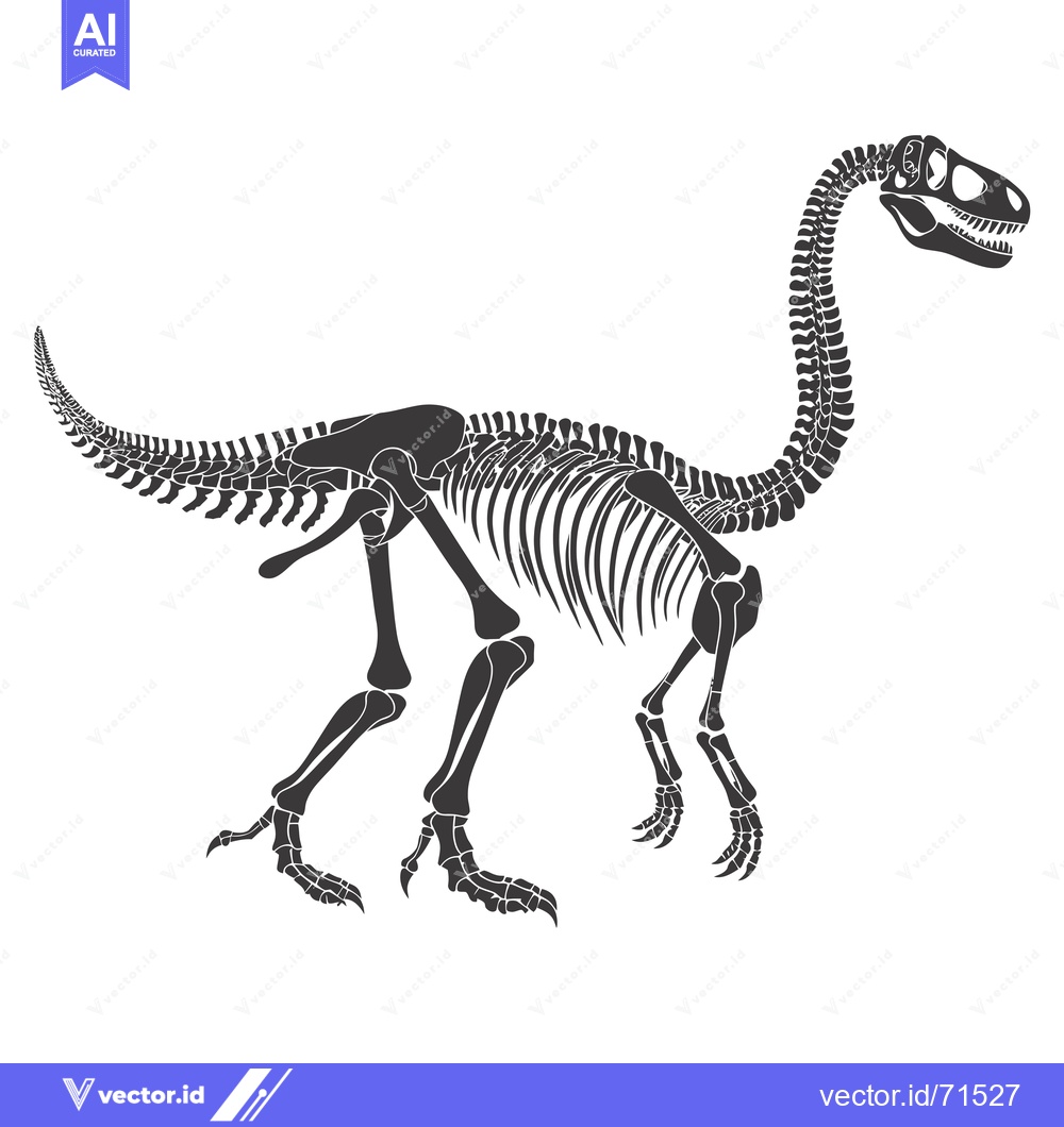 Premium Vector of A Detailed Silhouette of a Dinosaur Skeleton