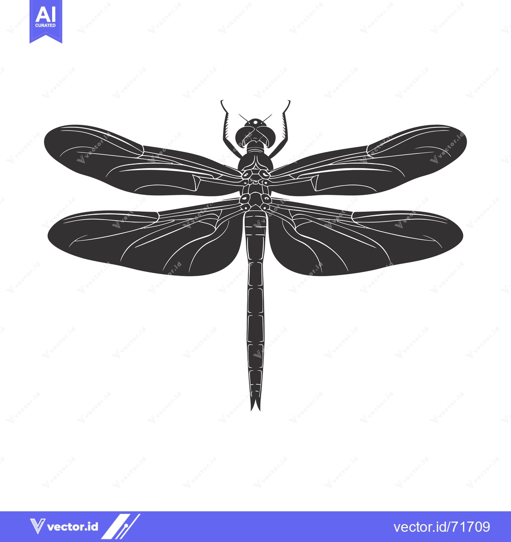 Premium Vector dari Silhouette of a dragonfly with spread wings
