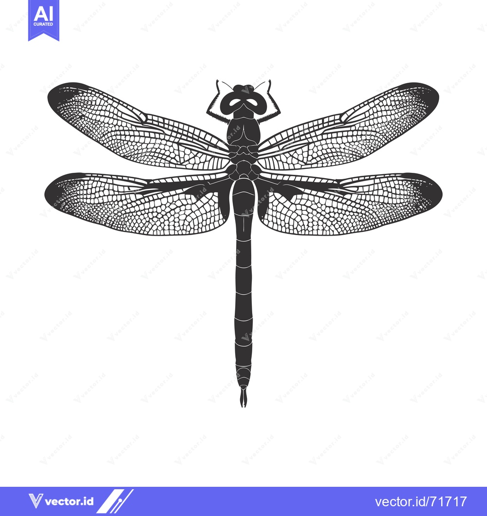 Premium Vector dari Black and White Detailed Illustration of a Dragonfly