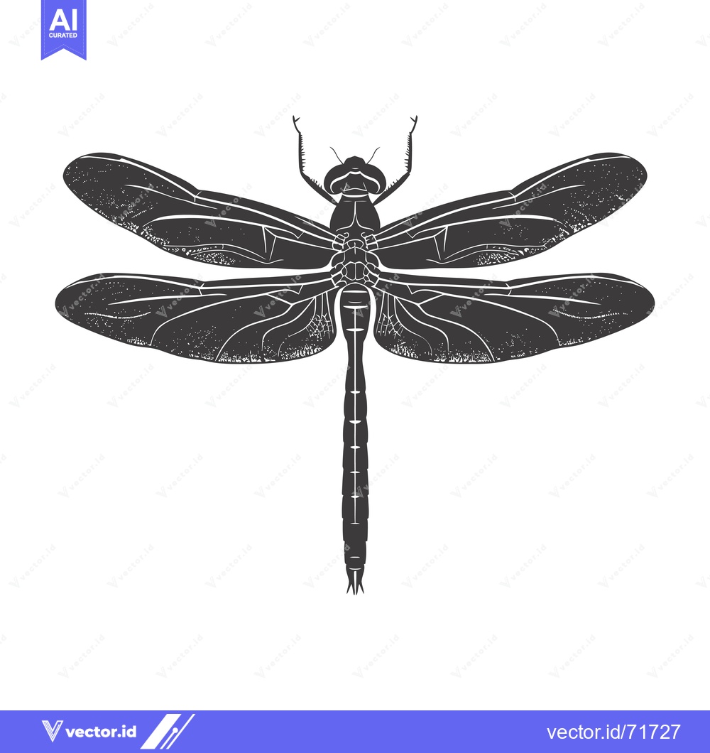 Premium Vector of Black and White Silhouette of a Dragonfly with Detailed Wings