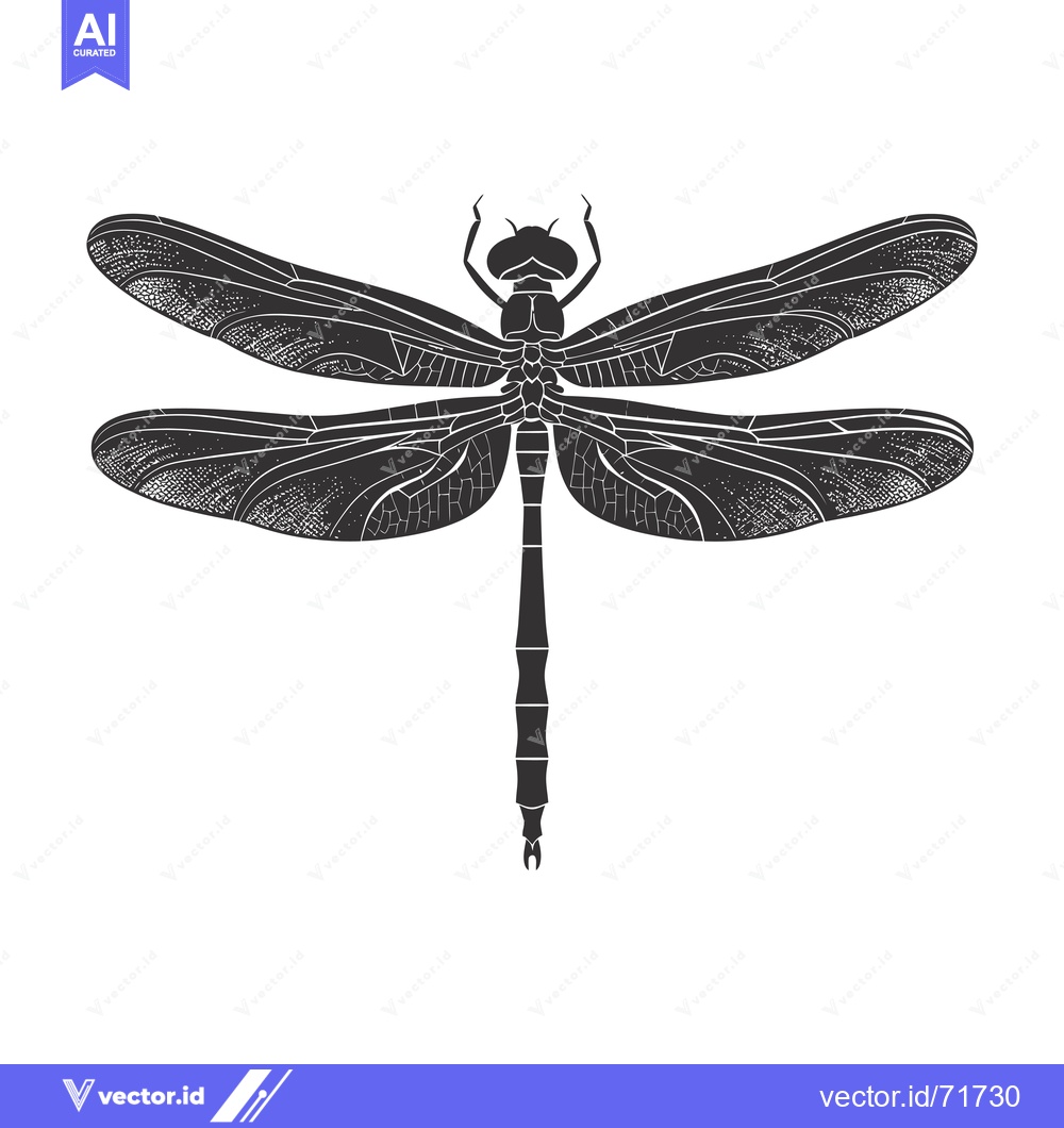Premium Vector of Black and white detailed illustration of a dragonfly with spread wings