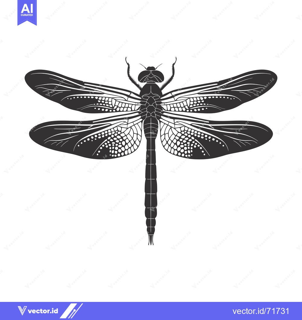 Premium Vector of Black and White Silhouette of a Dragonfly with Detailed Wings