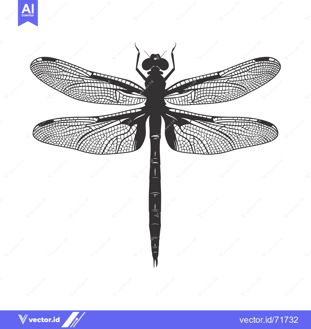 Premium Vector of Black and White Silhouette of a Dragonfly with Detailed Wings