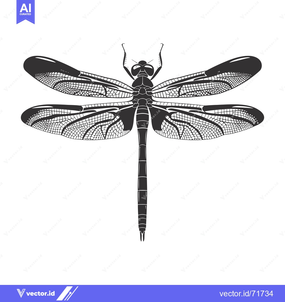 Premium Vector of Black and white illustration of a dragonfly with detailed wings