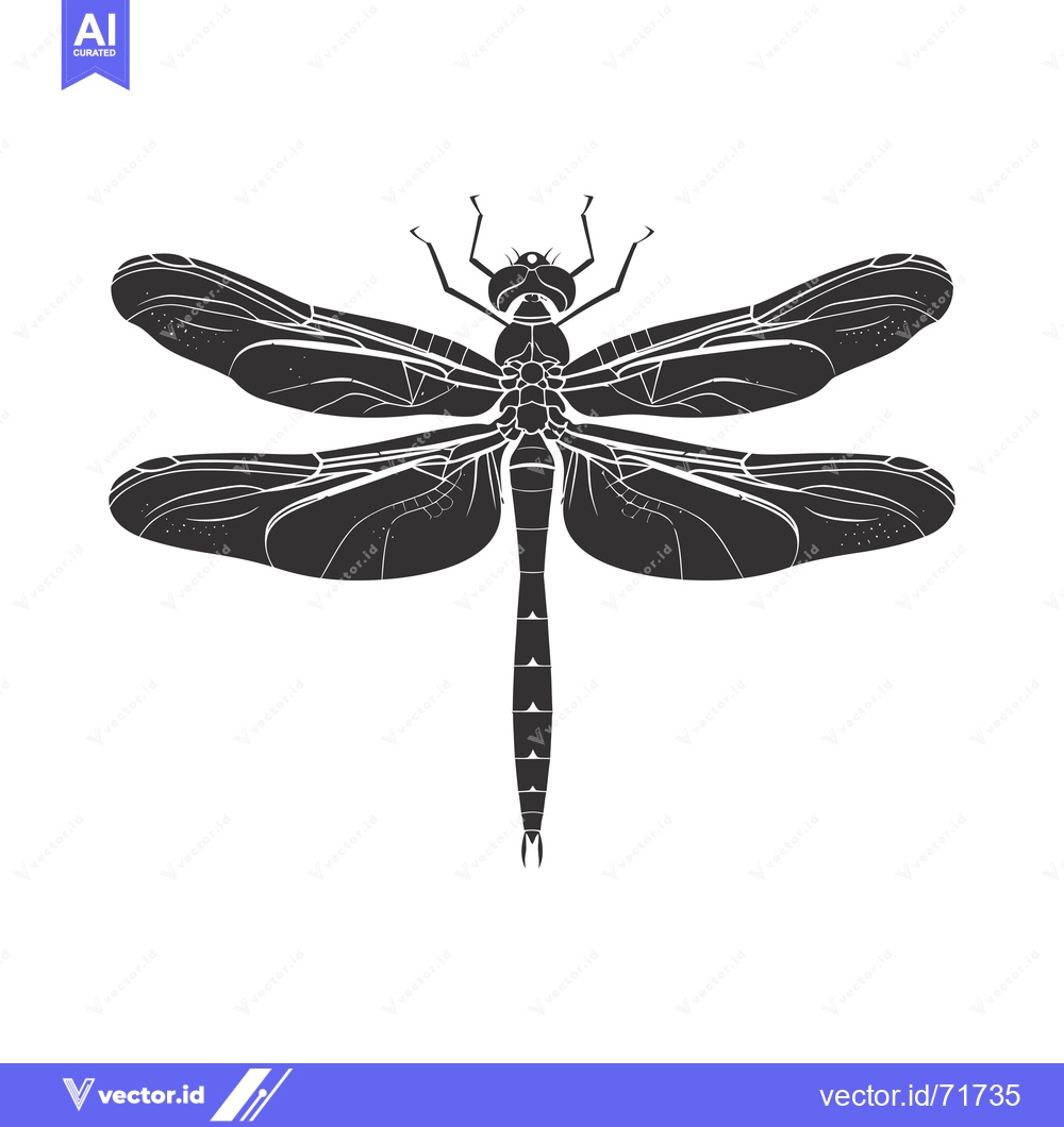 Premium Vector of Black and White Silhouette of a Dragonfly with Spread Wings
