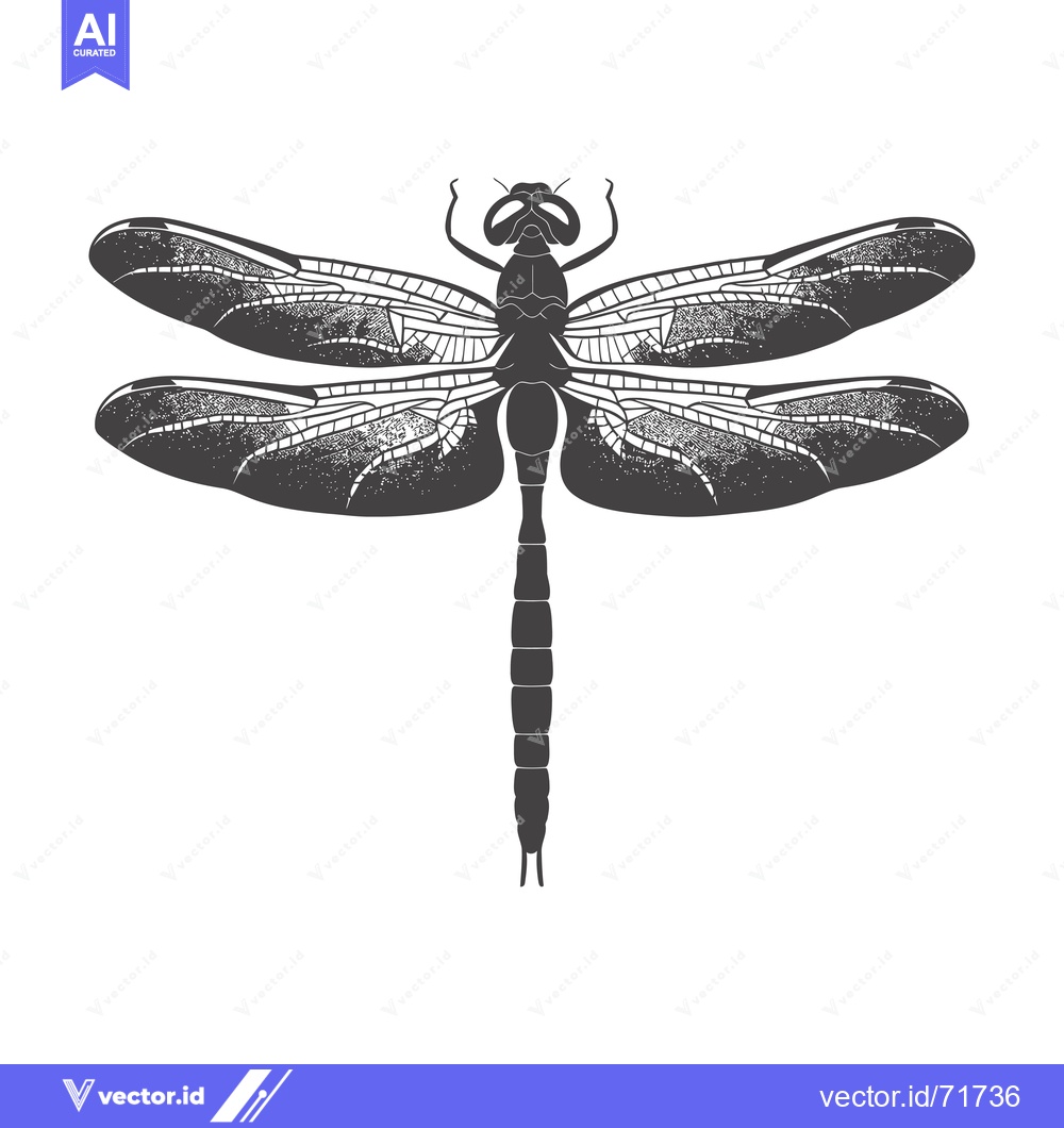 Premium Vector of Black and White Illustrated Dragonfly with Detailed Wings