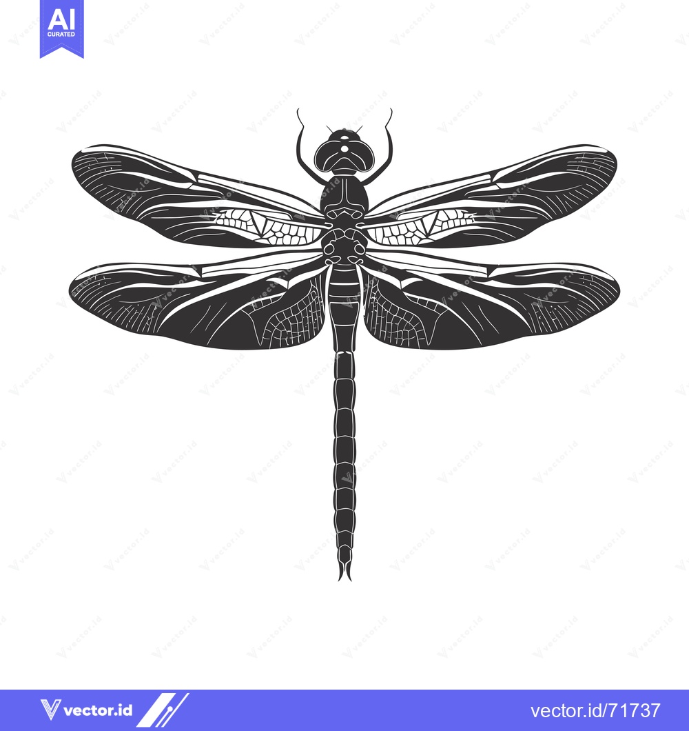 Premium Vector of Black and White Illustration of a Dragonfly with Detailed Wings