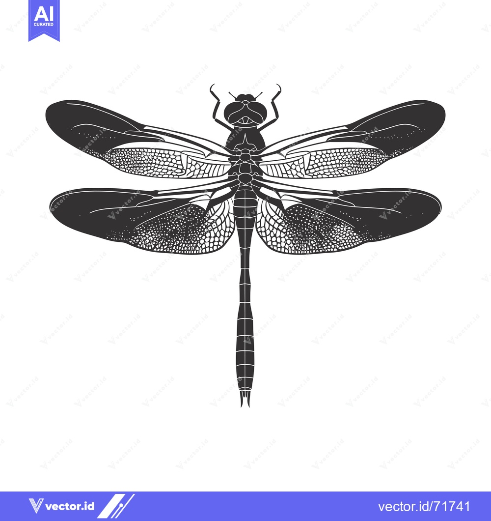 Premium Vector of Black and White Illustration of a Dragonfly