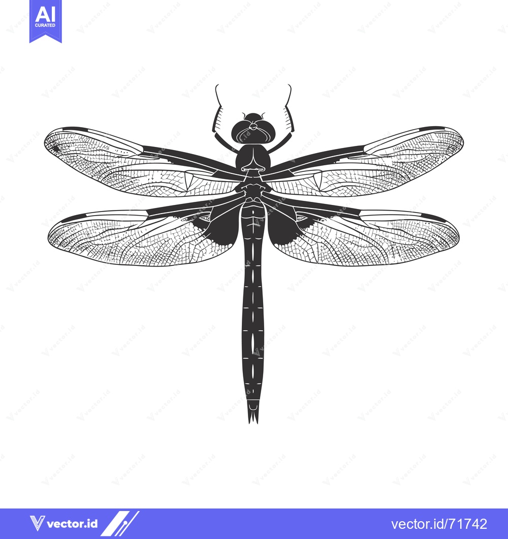Premium Vector of Black and White Illustration of a Dragonfly with Spread Wings