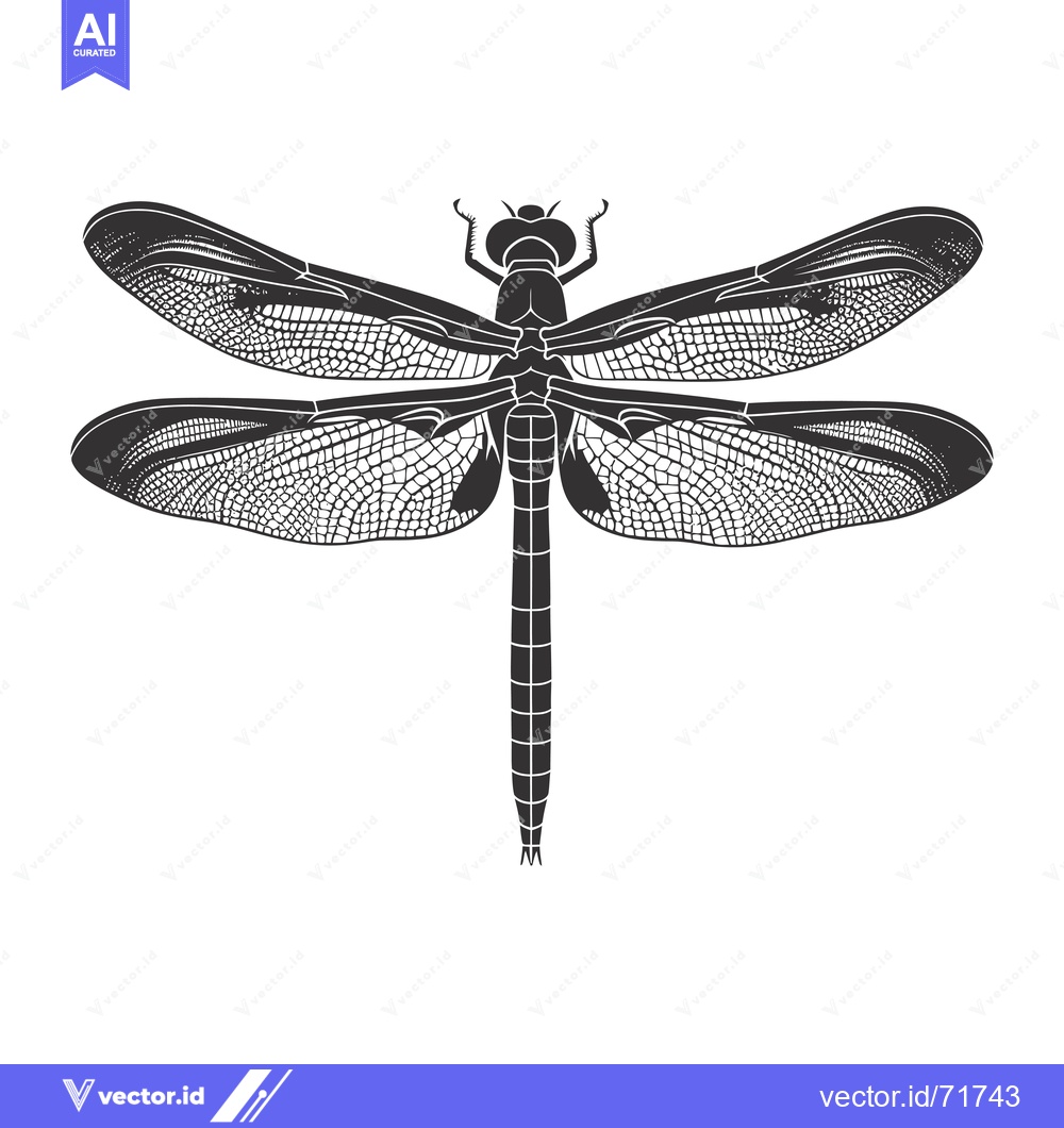 Premium Vector dari Black and White Detailed Illustration of a Dragonfly