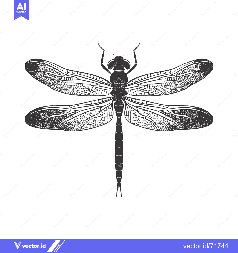 Premium Vector of Black and white illustration of a dragonfly with detailed wings
