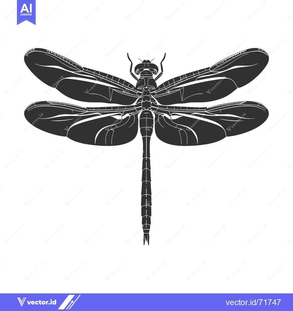Premium Vector dari Silhouette of a Dragonfly with Spread Wings
