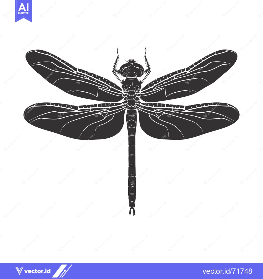 Premium Vector dari Black and white silhouette of a dragonfly with spread wings