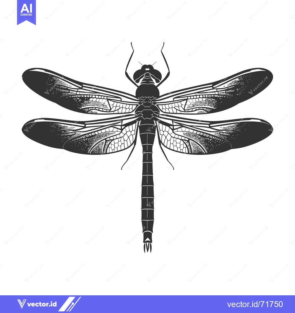 Premium Vector dari Black and White Illustration of a Dragonfly with Detailed Wings