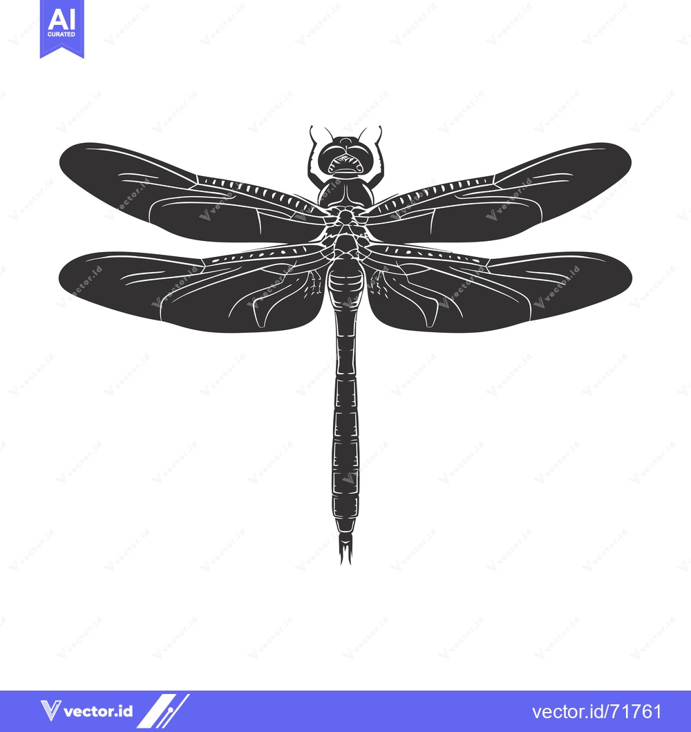 Premium Vector of Black and White Silhouette of a Dragonfly with Spread Wings