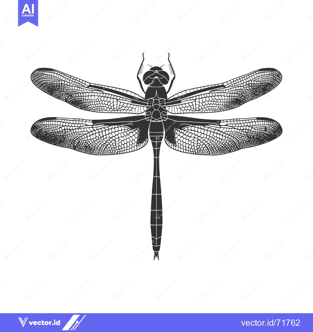 Premium Vector dari Black and White Illustration of a Dragonfly with Spread Wings