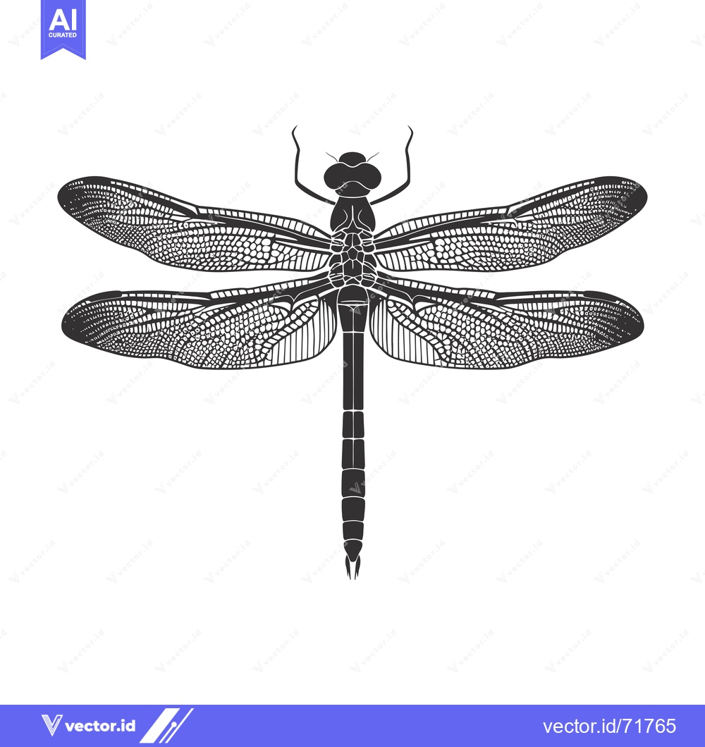 Premium Vector of Black and White Illustration of a Dragonfly with Detailed Veined Wings
