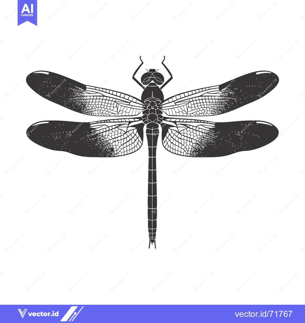 Premium Vector of Detailed Black and White Illustration of a Dragonfly